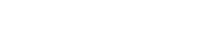 Mr Trampoline